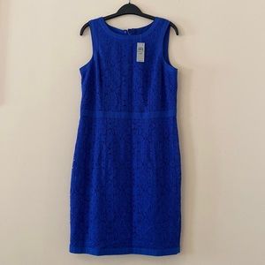 NWT cobalt / electric blue lace dress